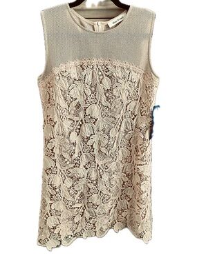 NWT Lace/Applique/Mesh Sleeveless Mini Dress